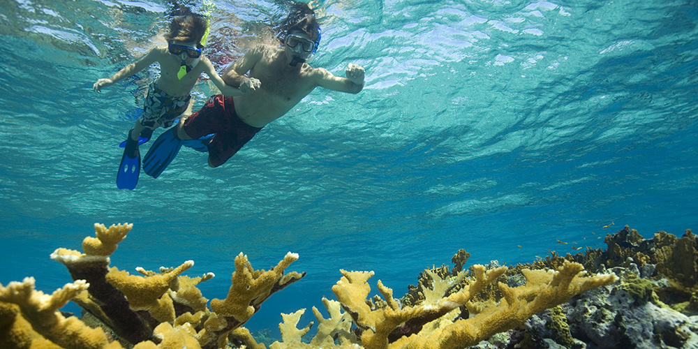 Underwater snorkeling at Cayman coral reef
