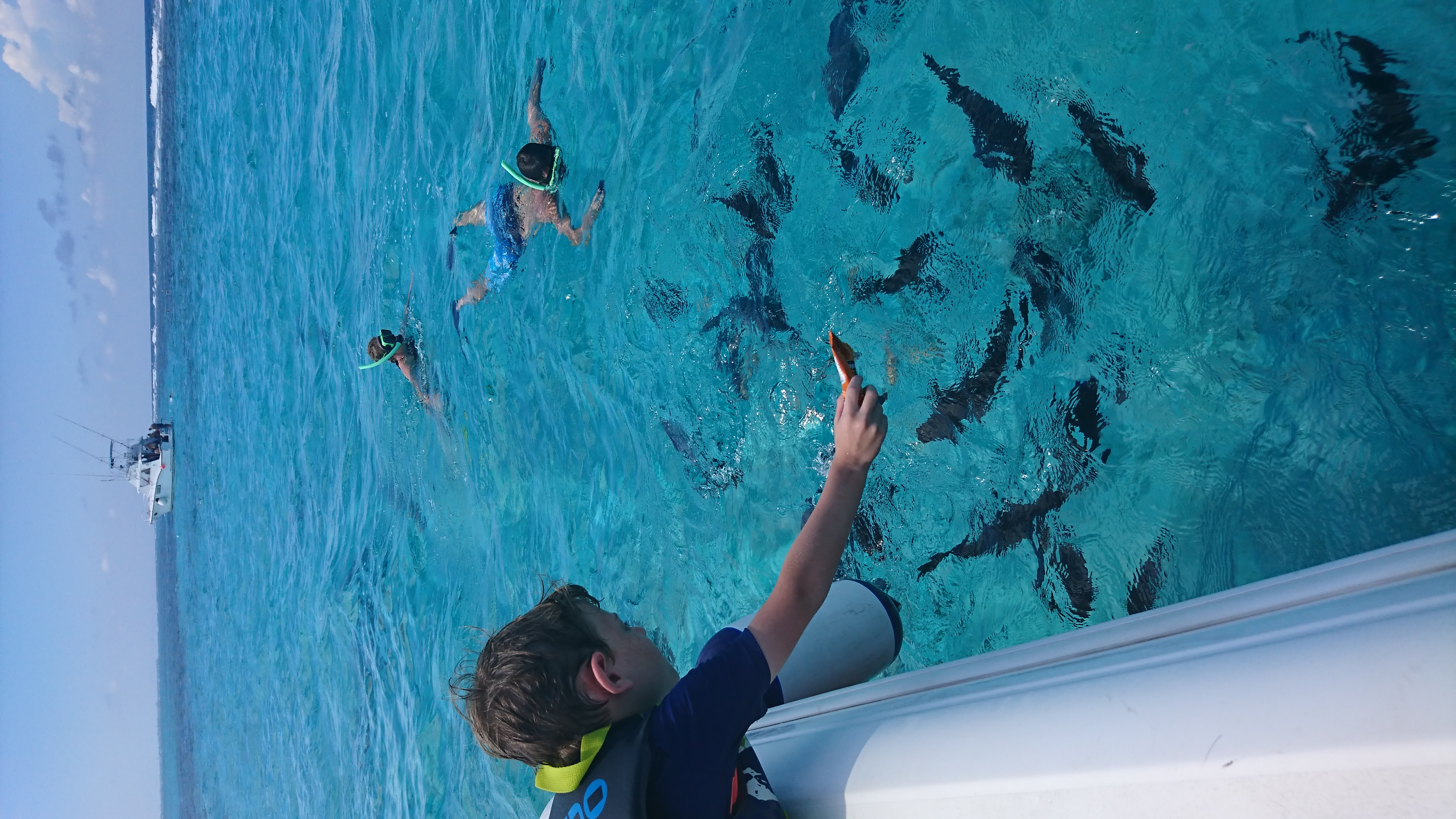 Family enjoying Stingray City