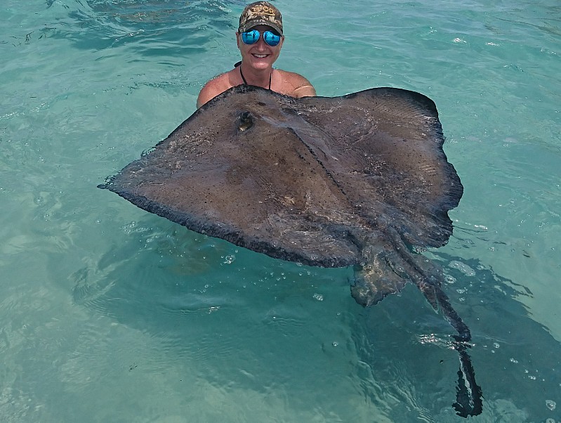 Swimming with stingrays at Stingray City Grand Cayman